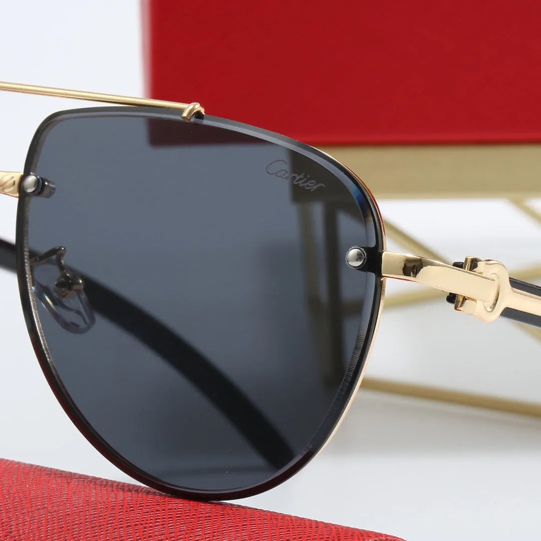 CAR Polarized Sunglasses B17831