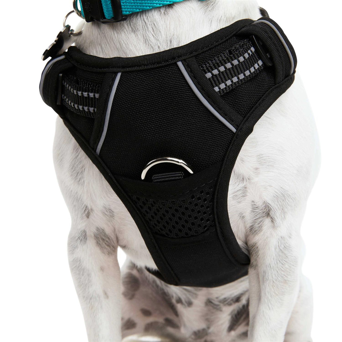 Black Front Walking Dog Harness L884