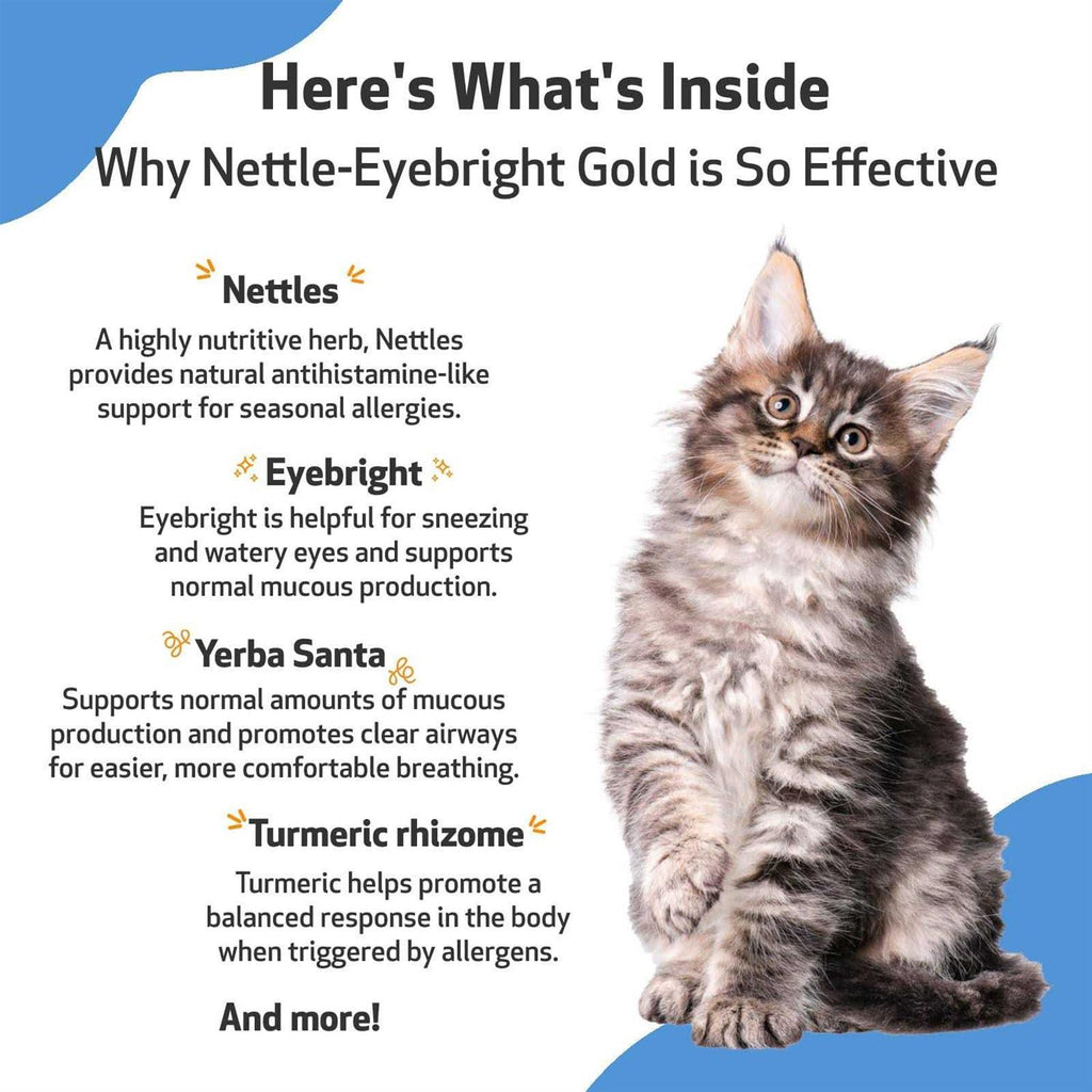 Nettle Eyebright for Dogs Q550
