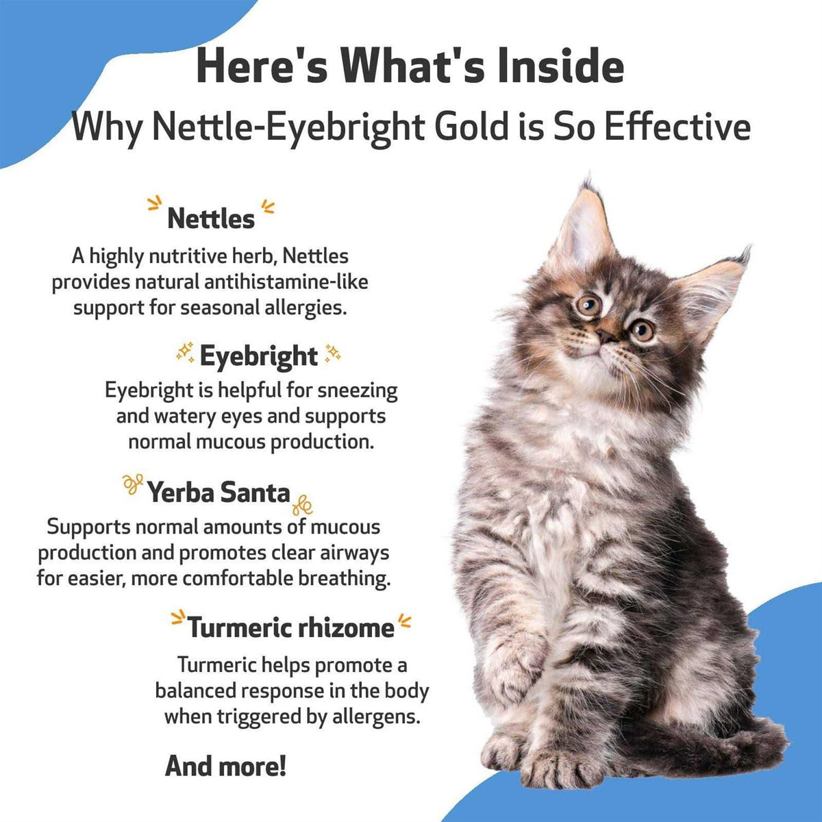 Nettle Eyebright for Dogs Q550