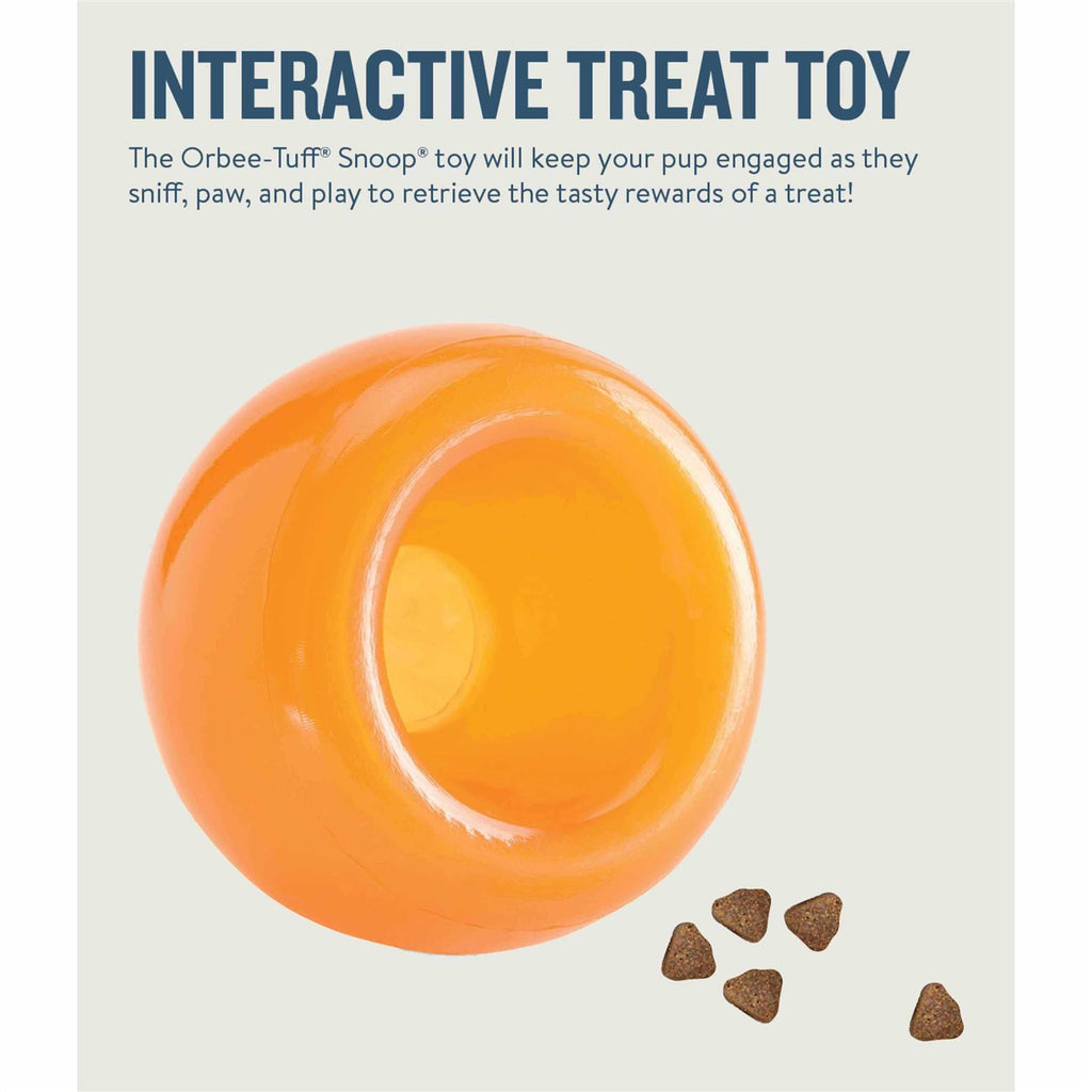 Dog Toy Z965178