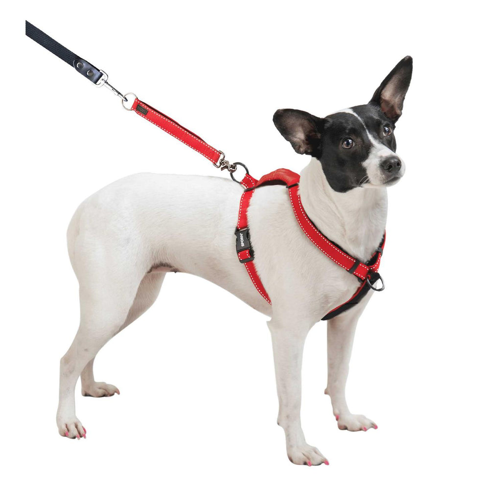 Harness K4397