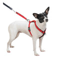 Harness K4397