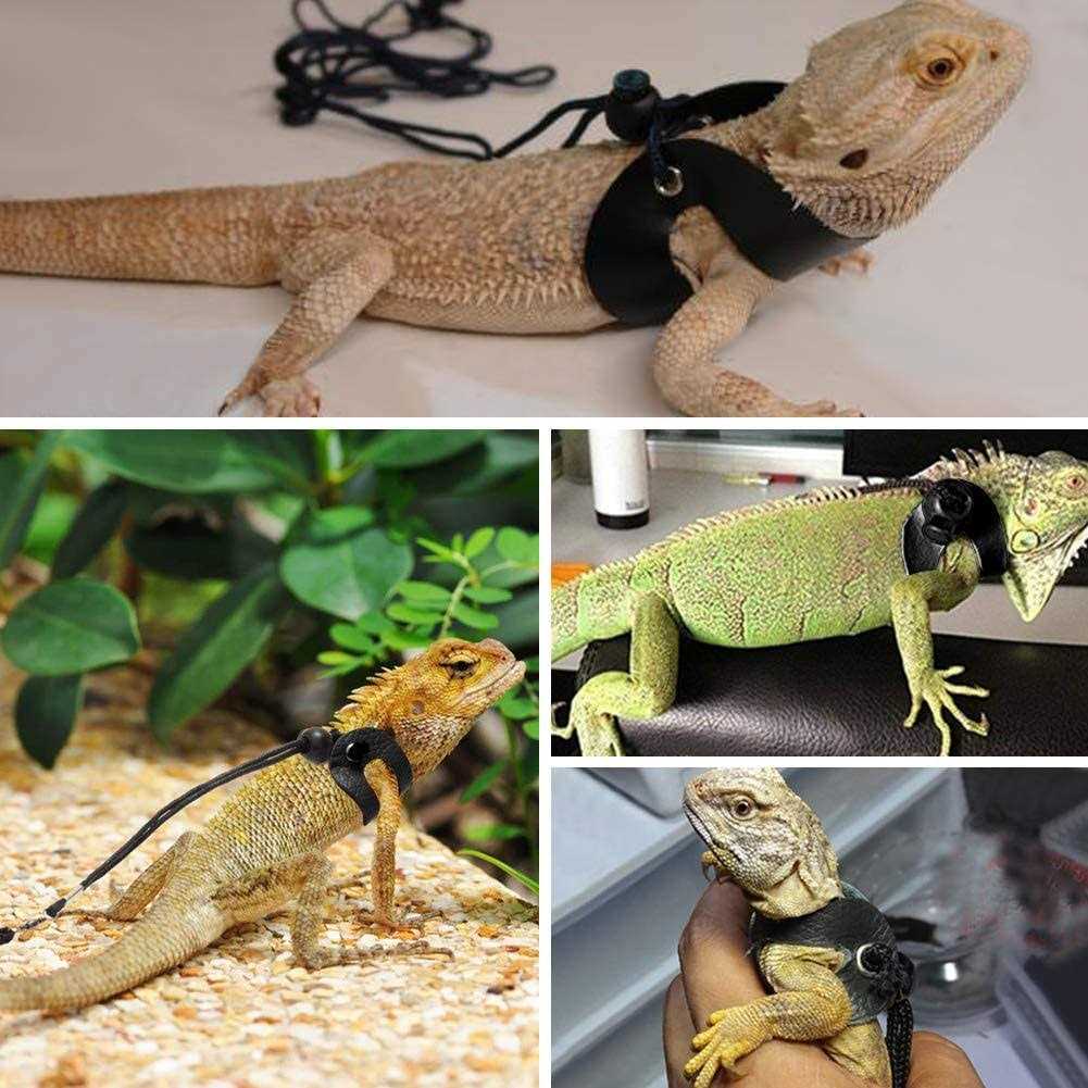3 Packs Adjustable Soft Leather Bearded Dragon Harness and Leash L18639