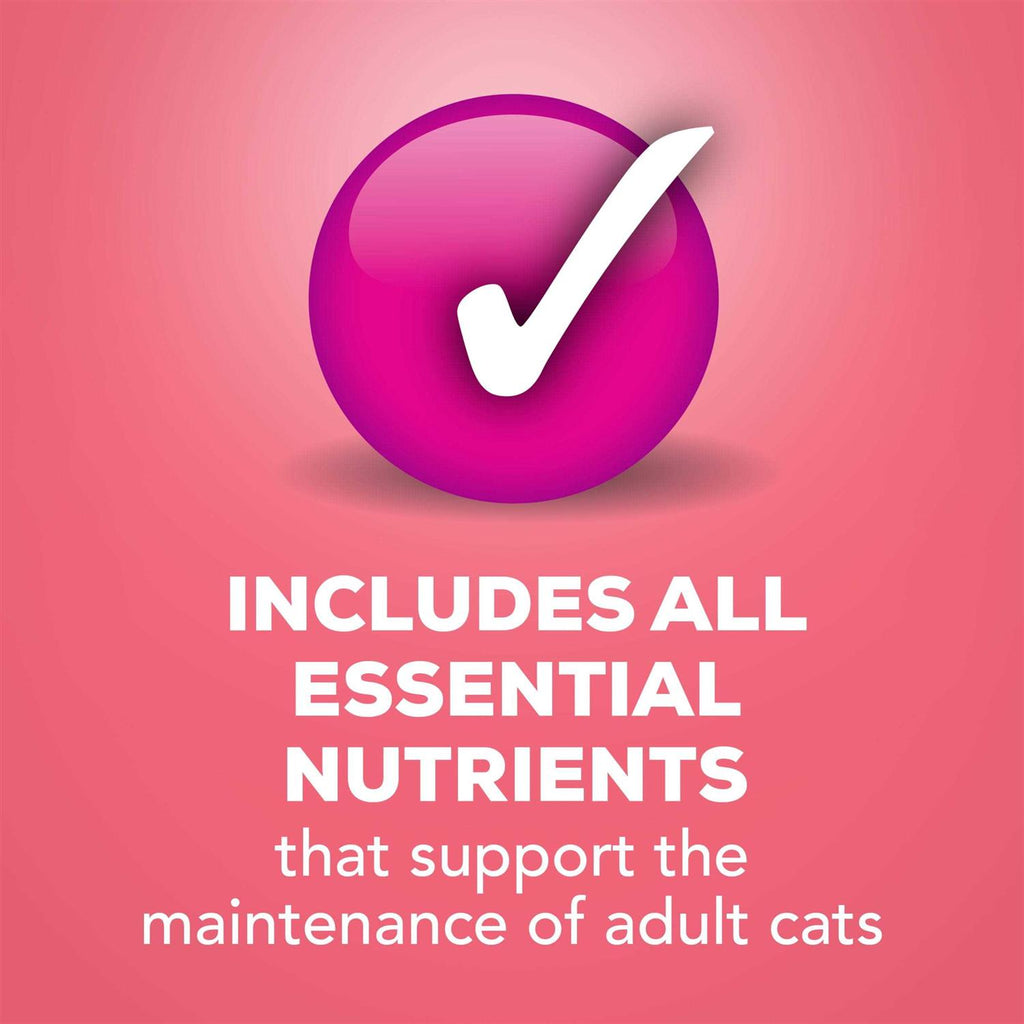 Wet Cat Food Salmon in Sauce R347481