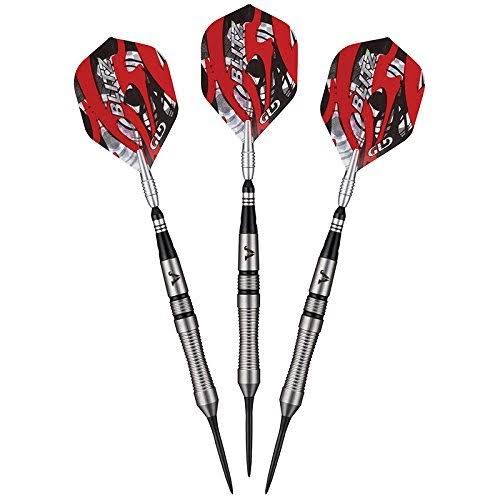 95% Tungsten Steel Tip Darts with Storage Case, 22 Grams L610