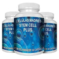 60 Capsules Immune Support G1502