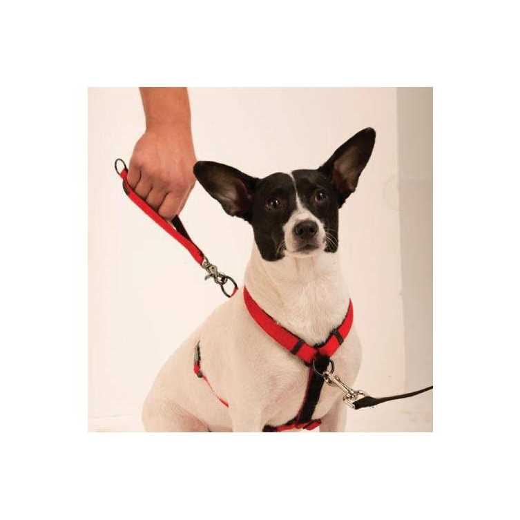 Harness K4397