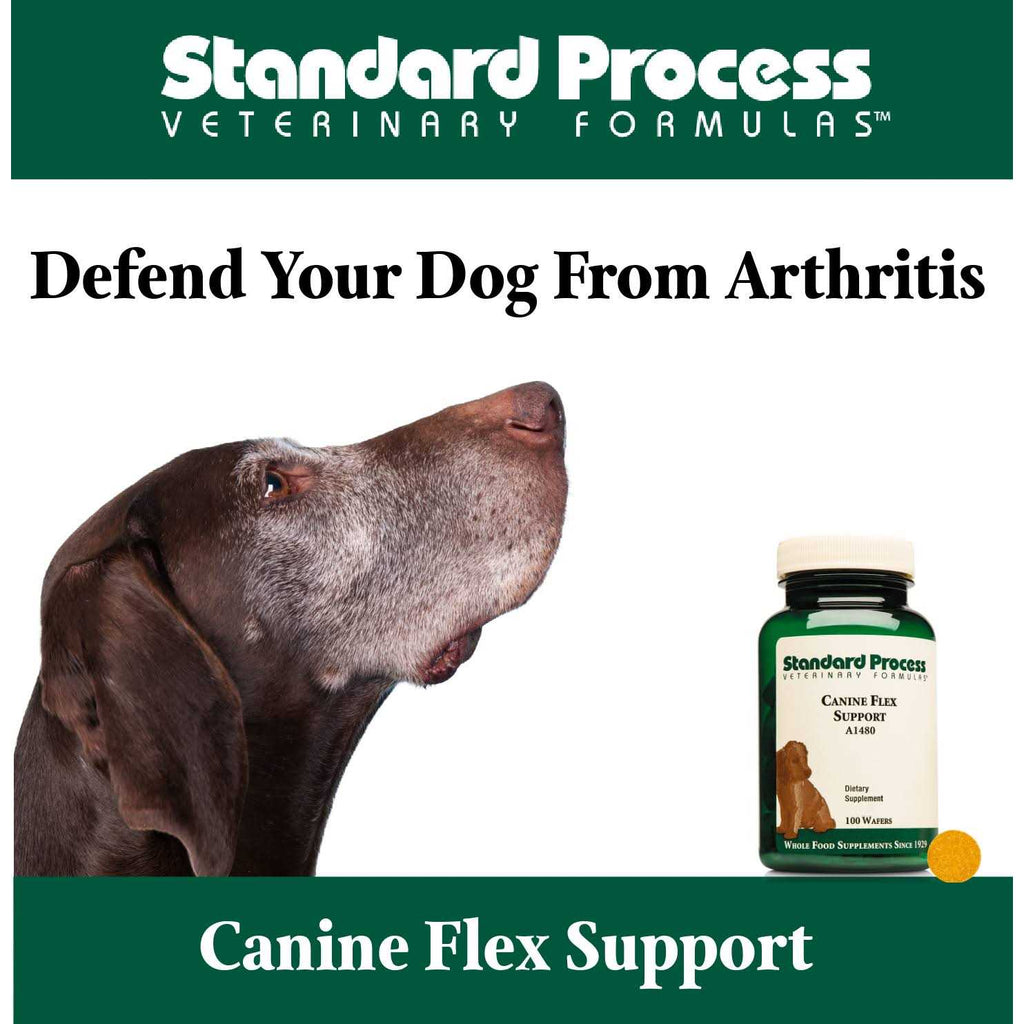Pet Supplies H394