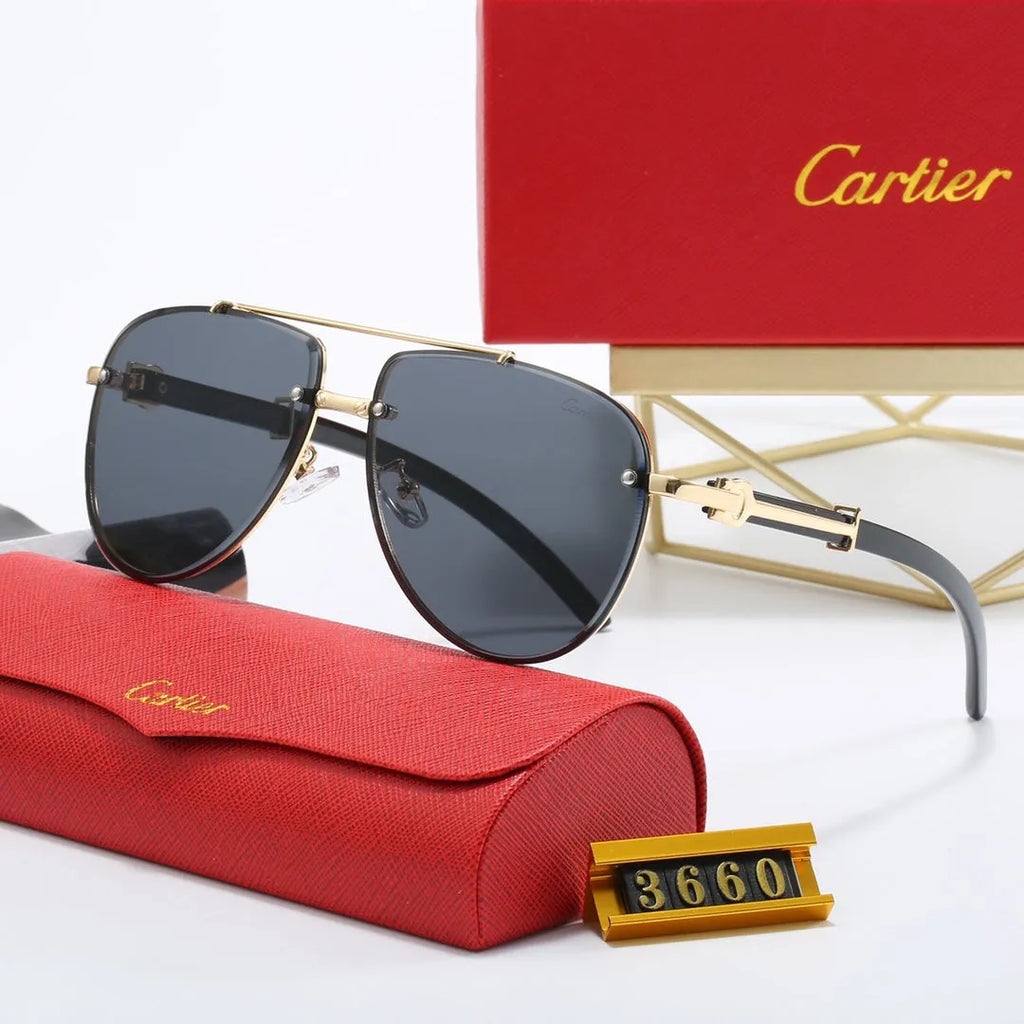 CAR Polarized Sunglasses B17831