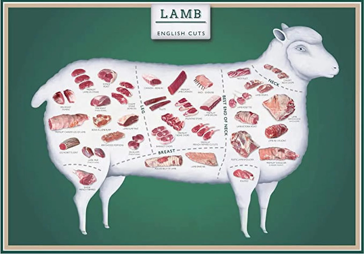 Laminated 24x36 Poster: Lamb Cuts Butcher Chart N367