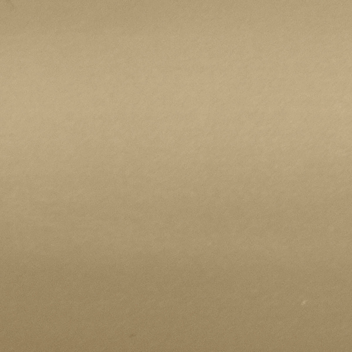 Cordless 1-Inch Vinyl Mini Blinds Cappuccino E36167
