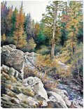 Canvas Art 24x32 B271325