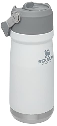 16-50 OZ Insulated Stainless Steel Water Bottle with Built-In Straw J6777