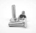 22 Carriage Bolt Stainless Steel 316 V686