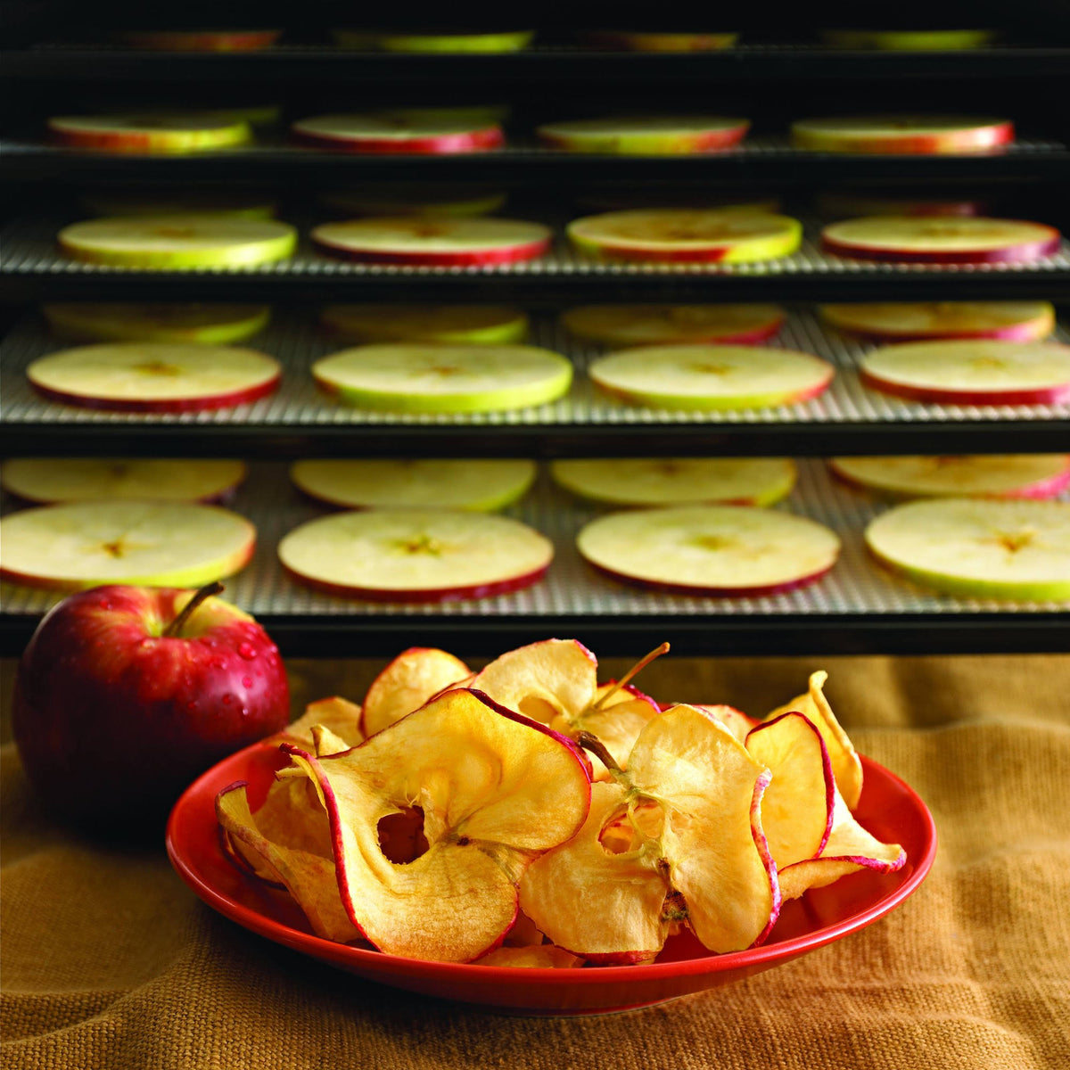9-Tray Food Dehydrator with Adjustable Thermostat U71956