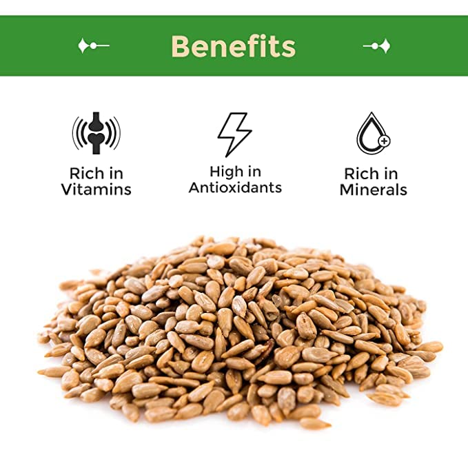 Sunflower Seed Kernels Raw No Shell 1lb bag L552