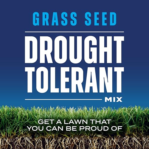 4 lb. Drought Tolerant Grass Seed Mix D43871