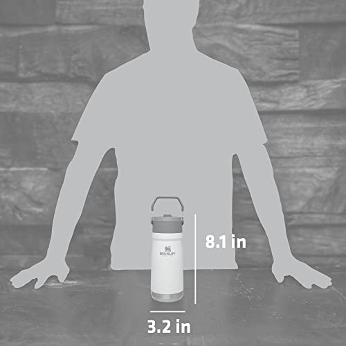 16-50 OZ Insulated Stainless Steel Water Bottle with Built-In Straw J6777