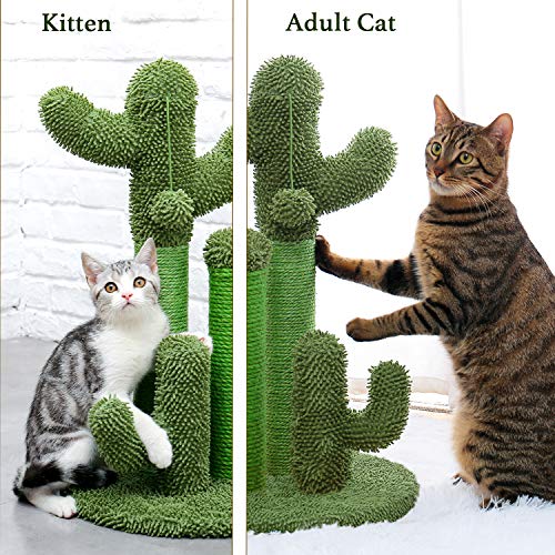 Cat Scratching Post Cactus Cat Scratcher with 3 Scratching Poles and Interactive Dangling Ball F173