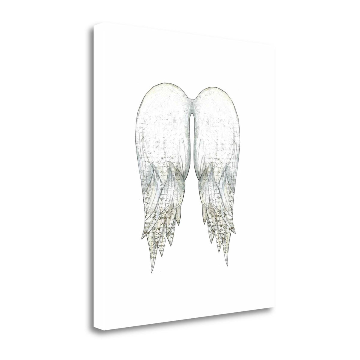 White Angel Wings Giclee Print on Gallery Wrap Canvas 25x22 x 28 T219