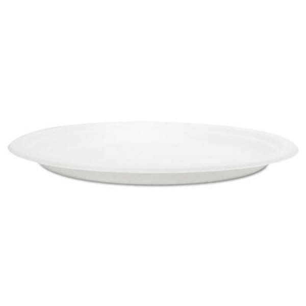Sugarcane Fiber Disposable Plates S798669