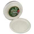Sugarcane Fiber Disposable Plates S798669