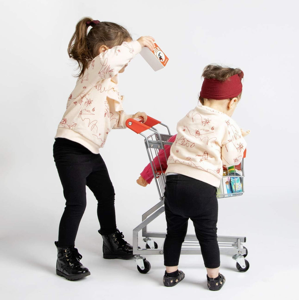 Toy Shopping Cart E500