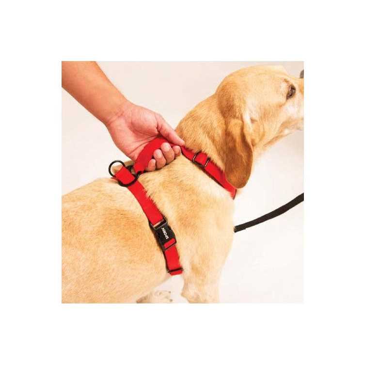 Harness K4397