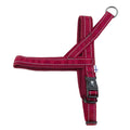 Padded Dog Y Harness N1898