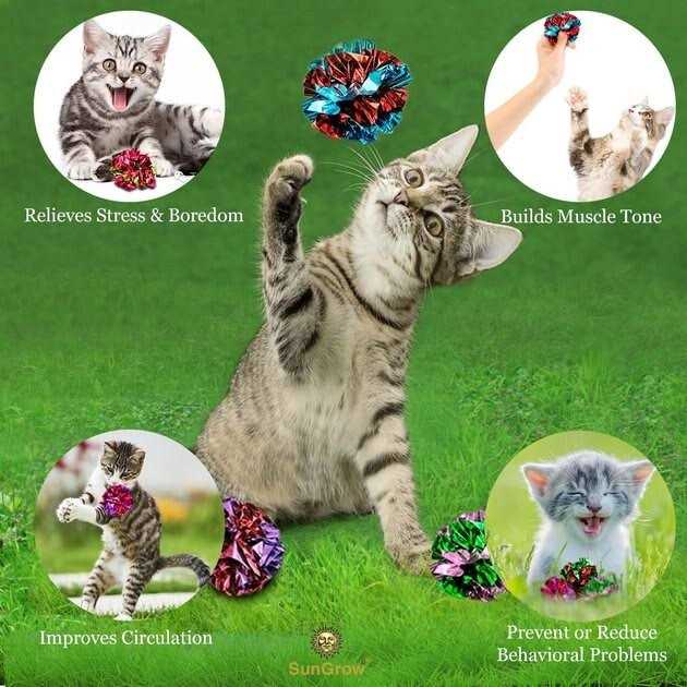 Cat & Kitten Toys H739