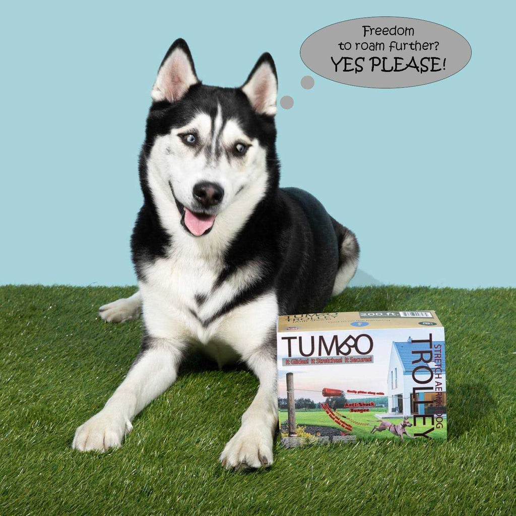 Anti-Shock Aerial Dog Runner S406753
