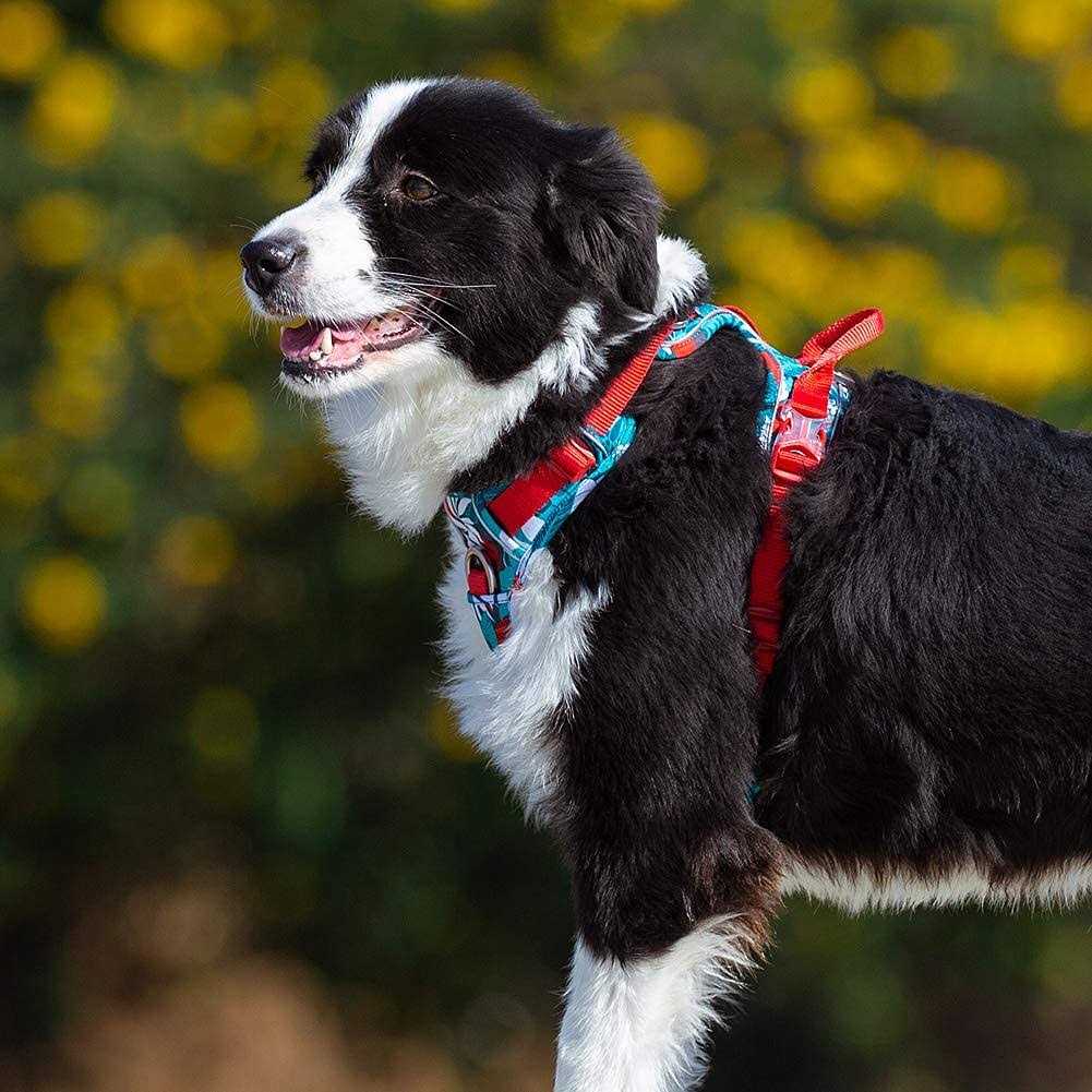No Pull Dog Harness with Quick-Release Neck Strap V77994