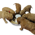 Stainless Steel Puppy Dog Bowls A49204