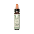 Walnut Flower Essence 10ml N9651