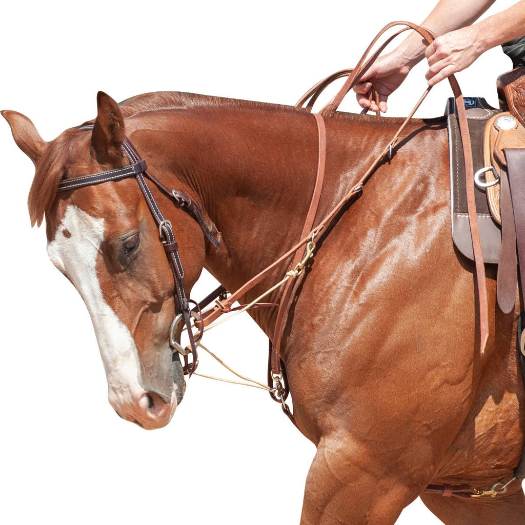 German Martingale with Split Rein J88005