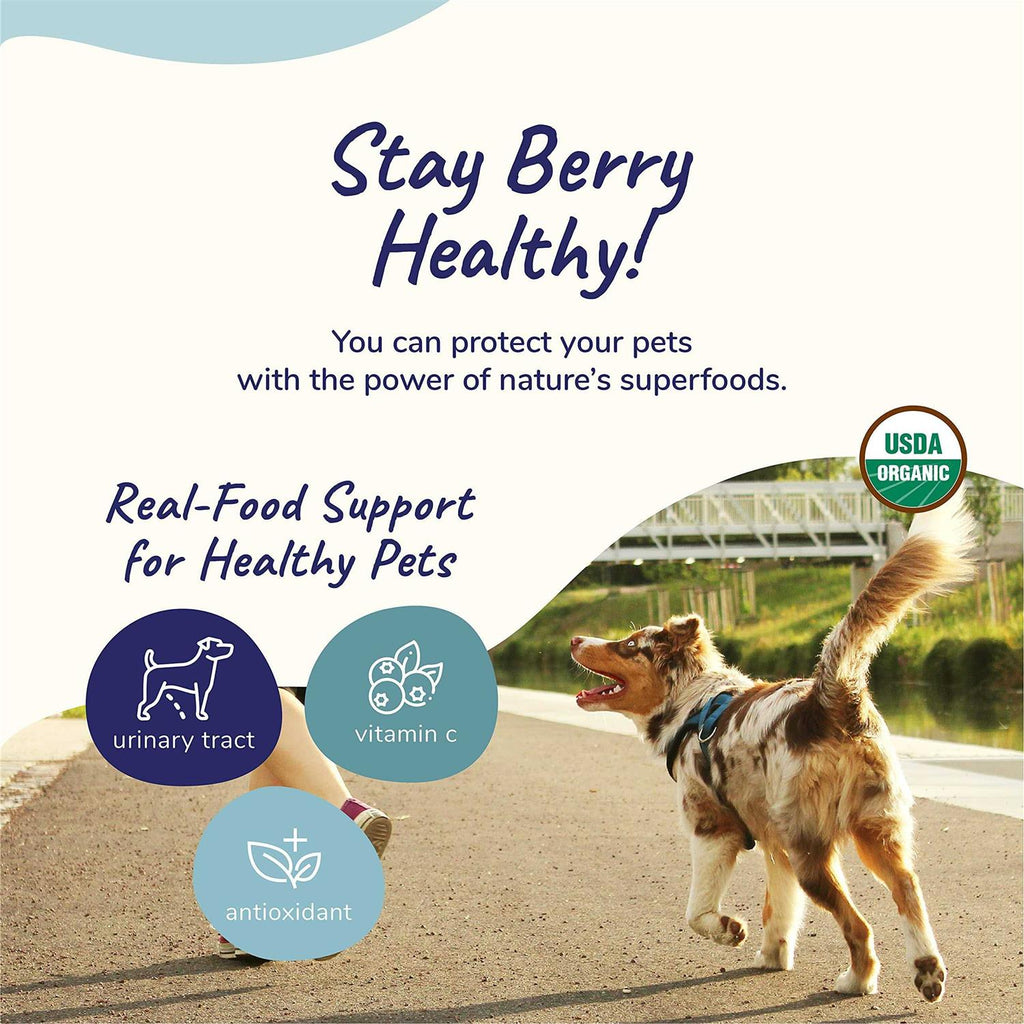 Healthy Immunity for Dogs and Cats L3892