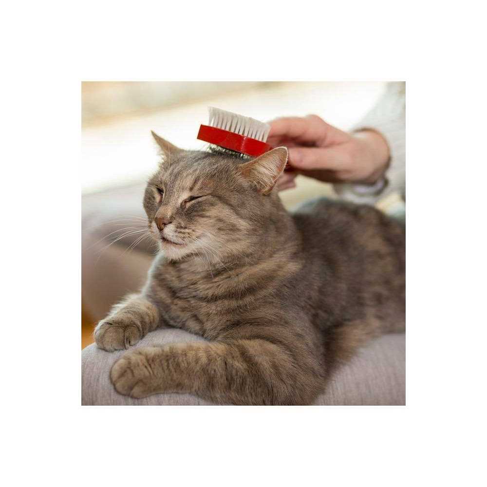Cat Waterless Bath B290067