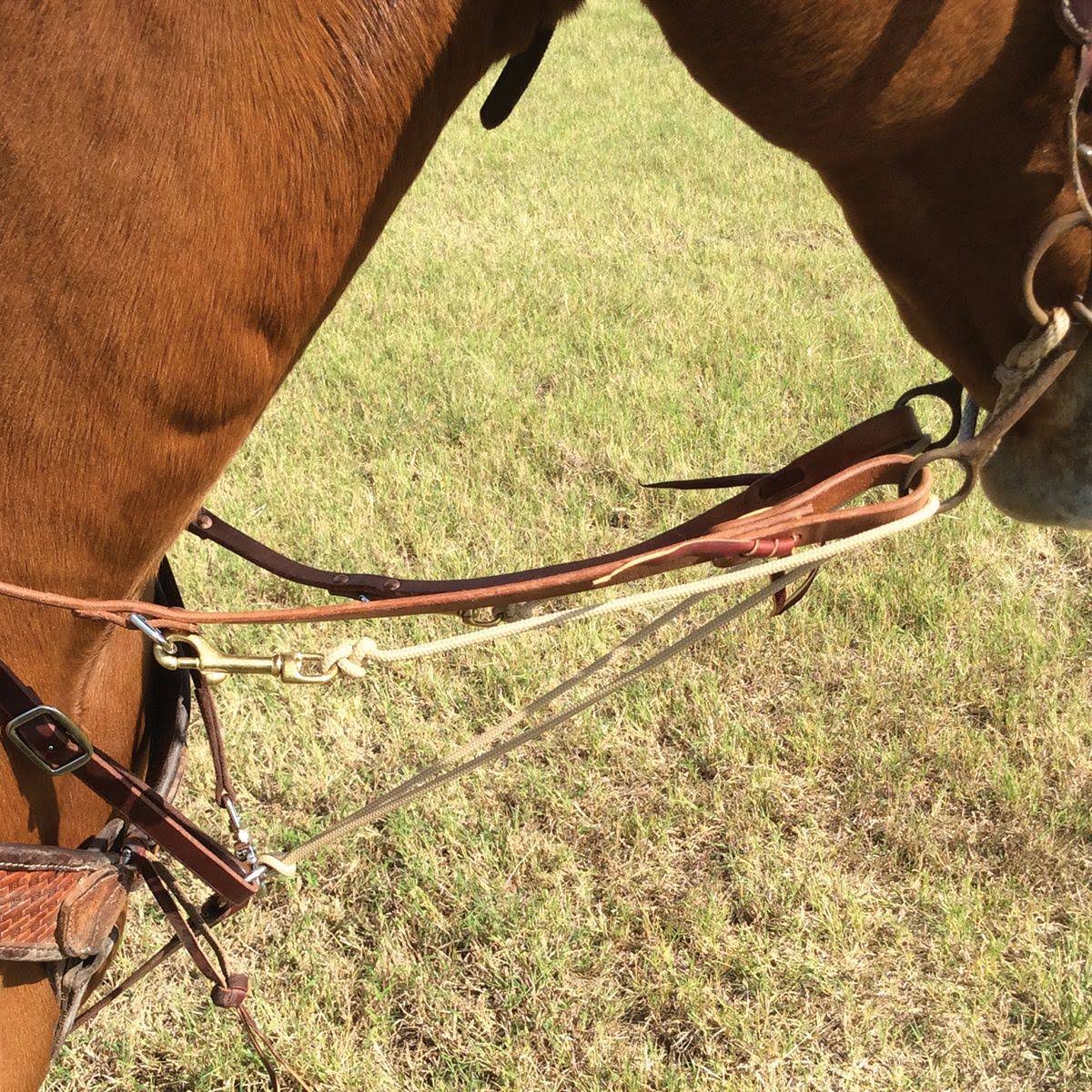 German Martingale with Split Rein J88005