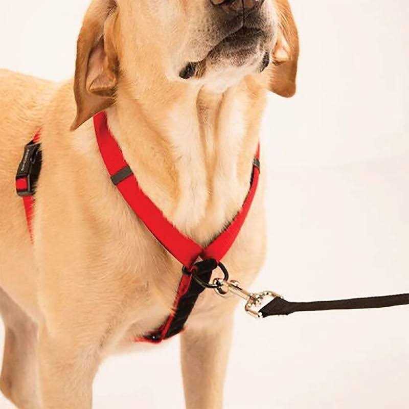 Harness K4397