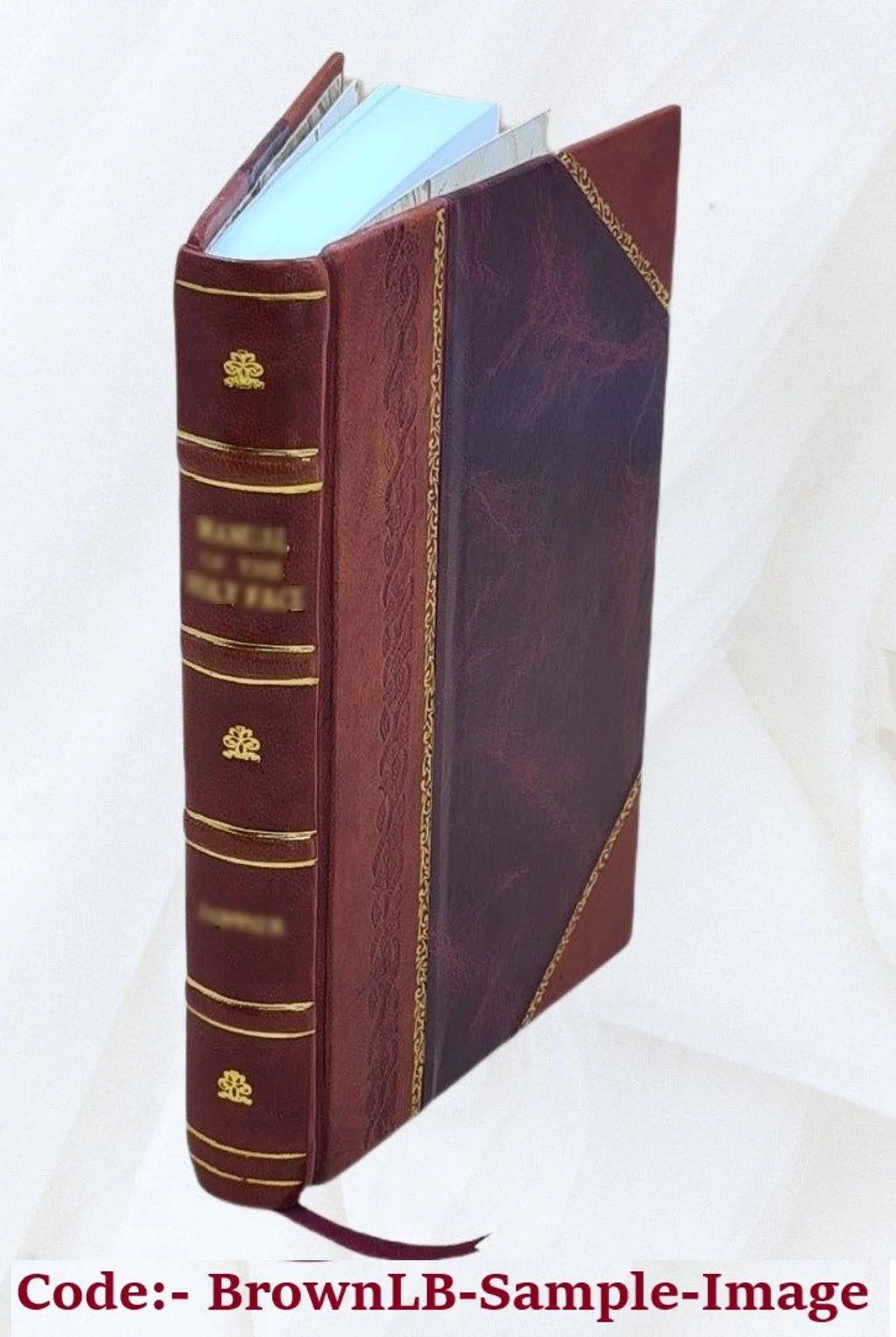Queer Folk Illustrated Leather Bound J1659