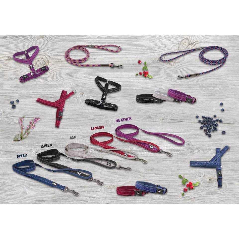 Padded Dog Y Harness N1898