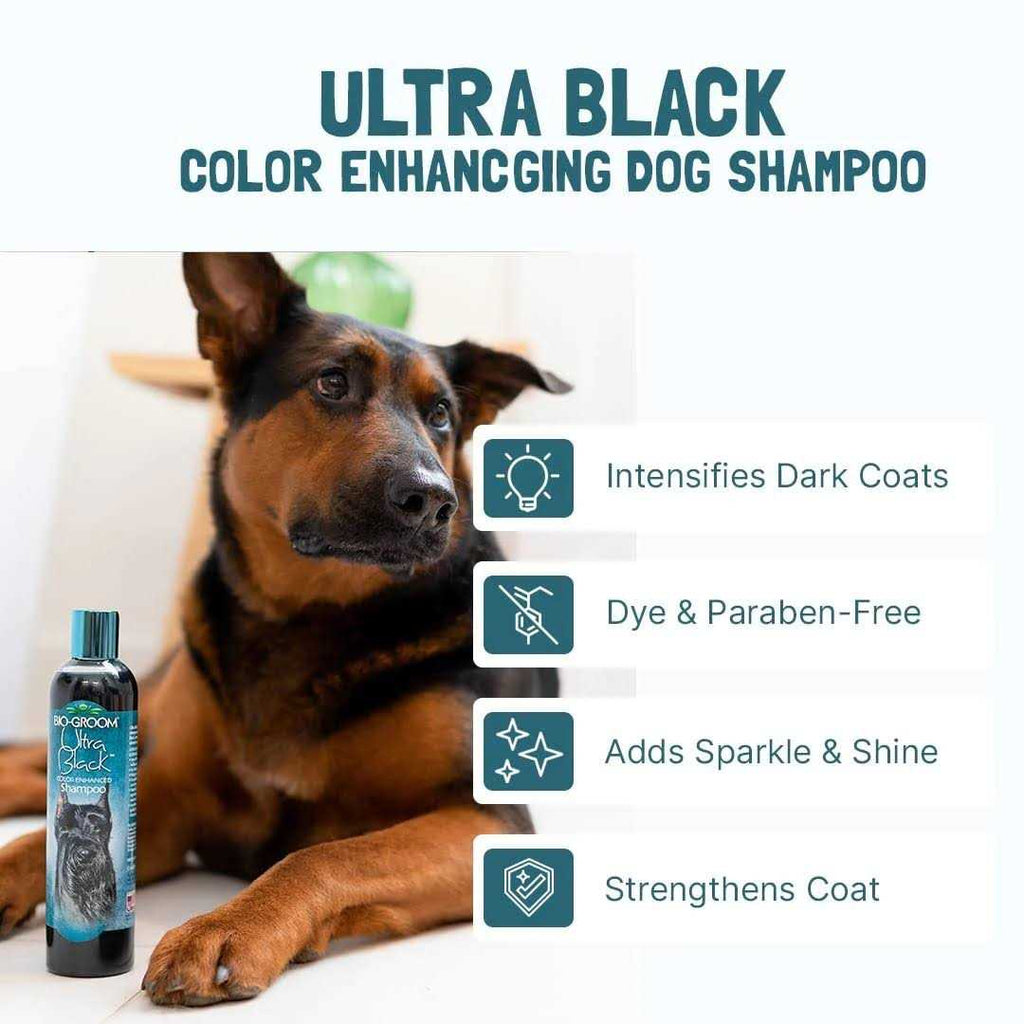 Black Color Enhancing Shampoo H404635