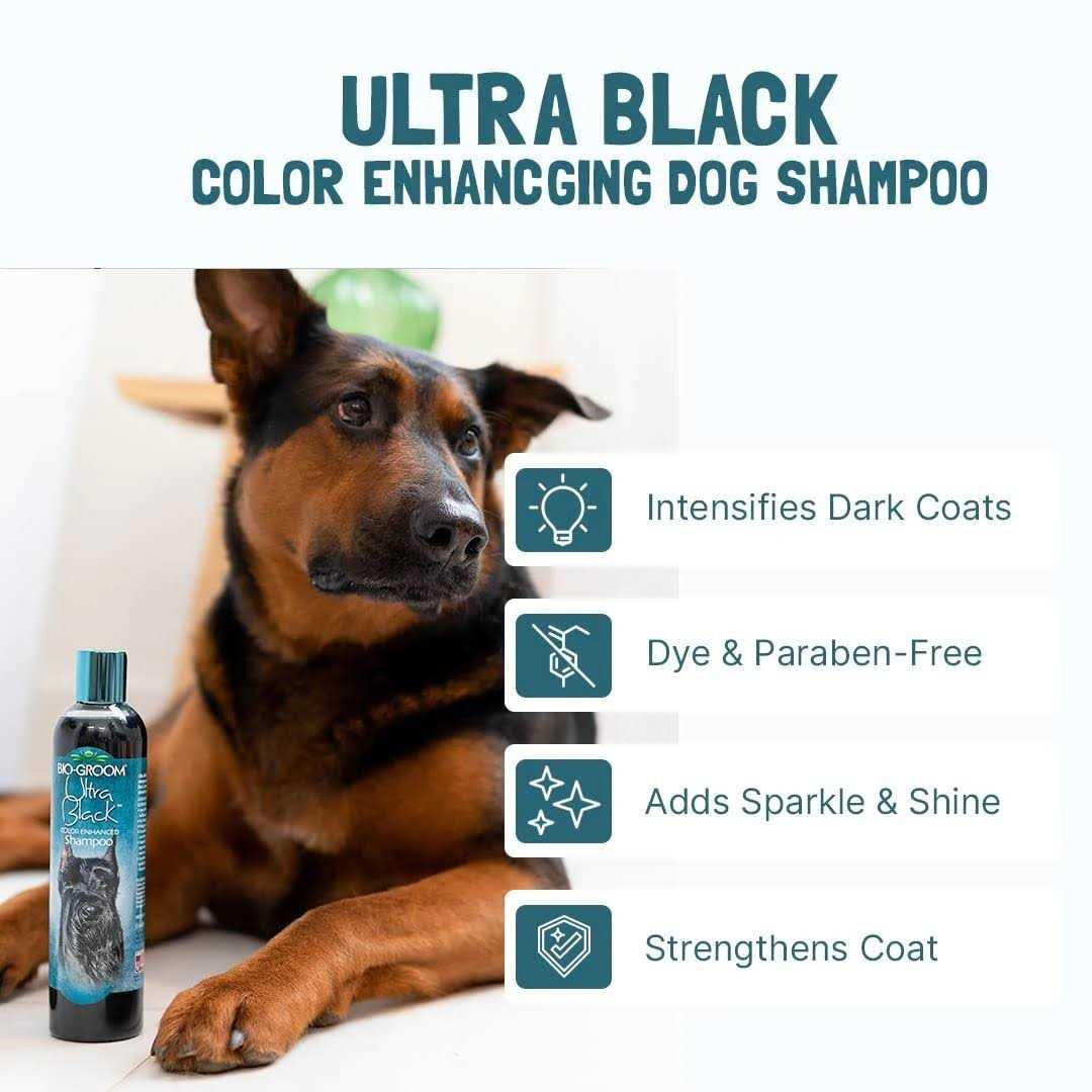 Black Color Enhancing Shampoo H404635