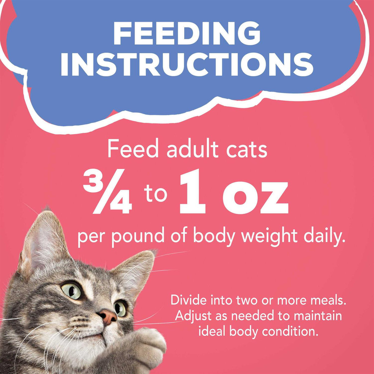 Wet Cat Food Salmon in Sauce R347481