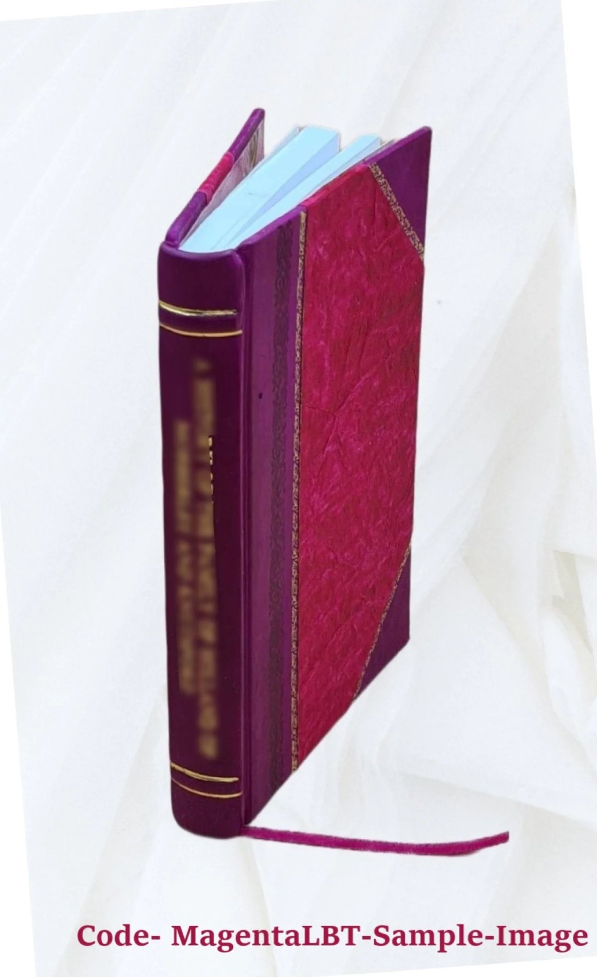 Euclid's Perspective Translated into French Leather Bound F568