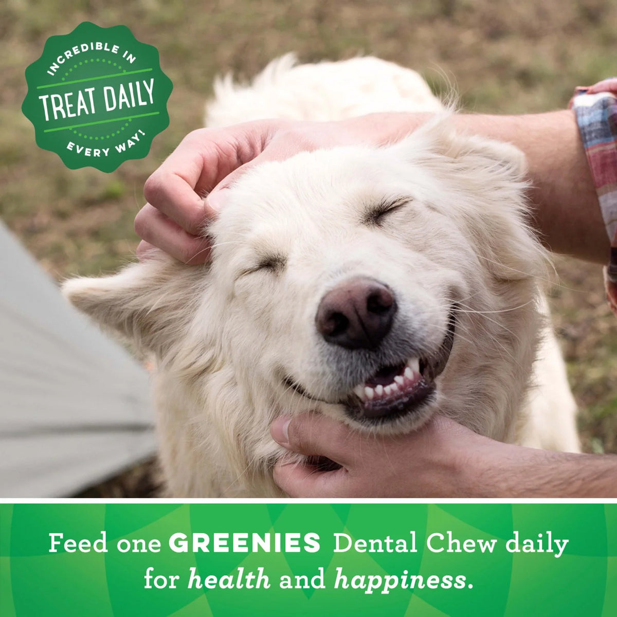 Original Flavor Dental Treats for Dogs, 18 oz 4 Pack V3115