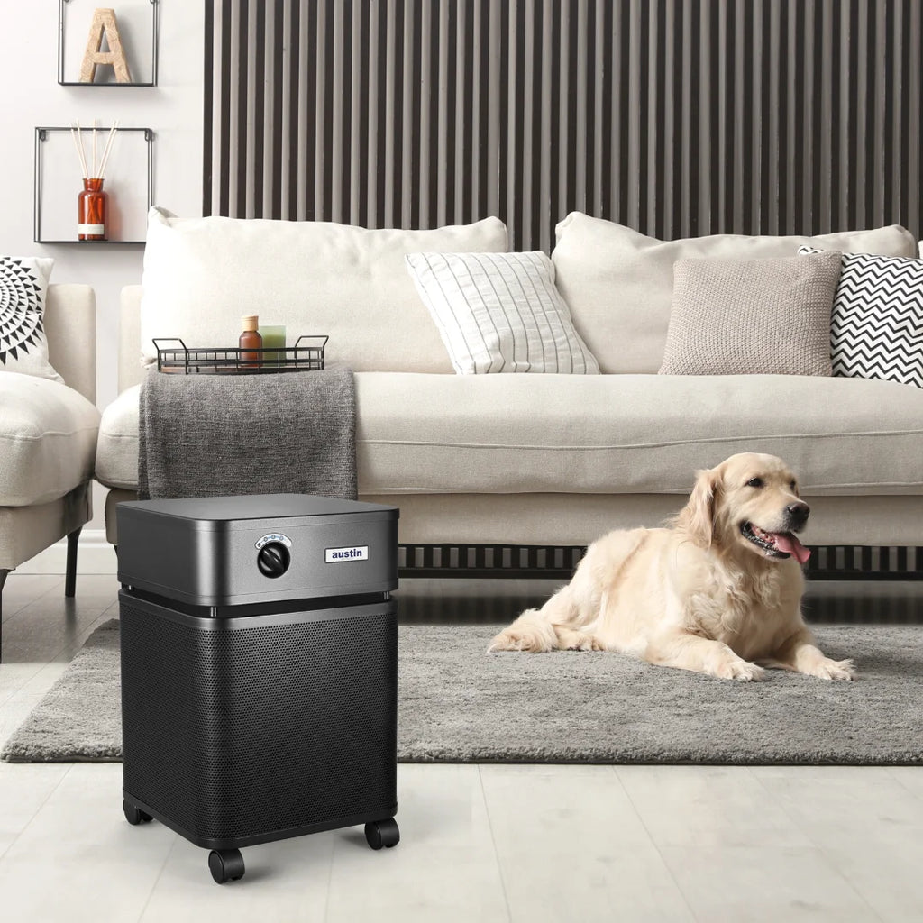 Black Air Purifier with Prefilter X2633