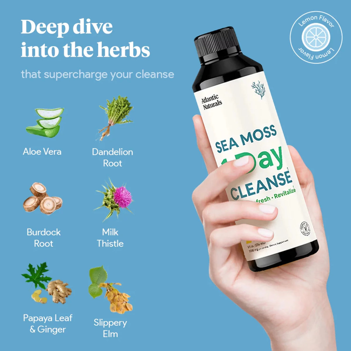 Sea Moss 1 Day Cleanse Lemon Flavor Z538