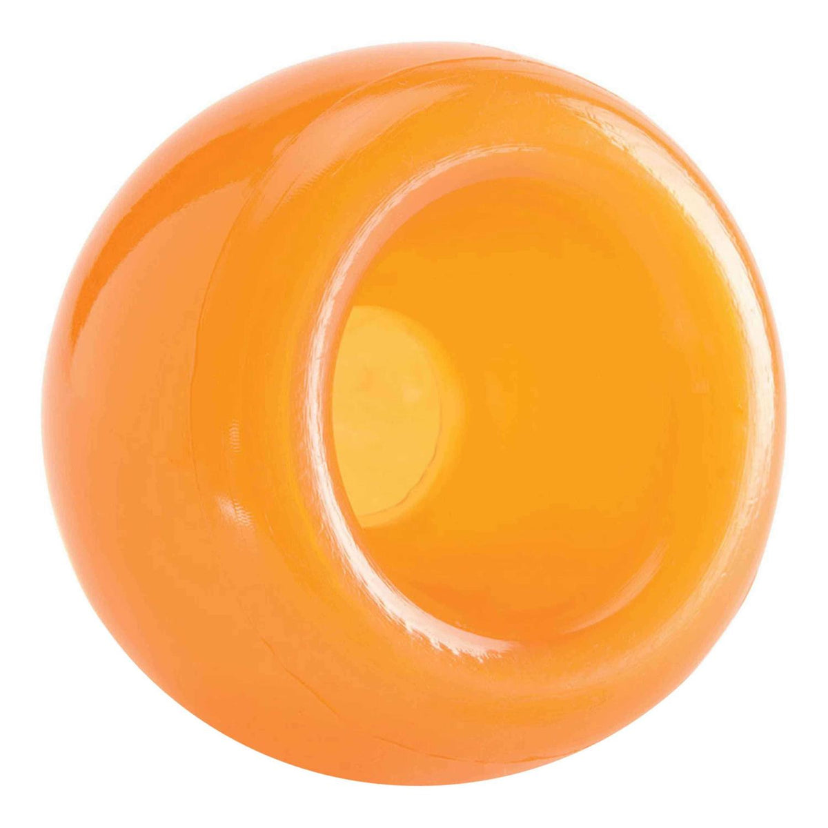 Dog Toy Z965178